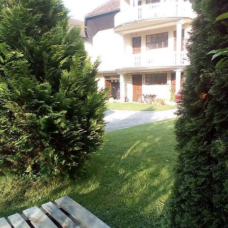 Guest House Aleksandra Bajina Basta Bagian luar foto