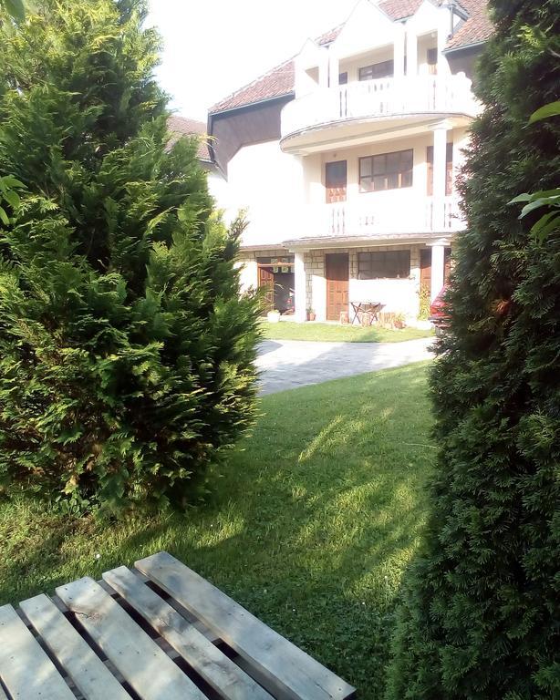 Guest House Aleksandra Bajina Basta Bagian luar foto