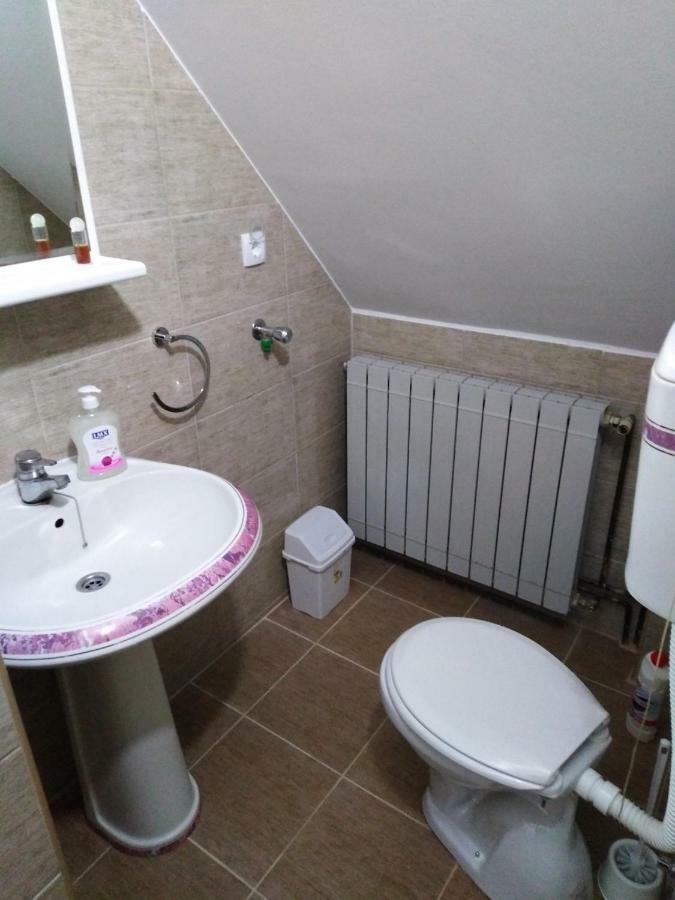 Guest House Aleksandra Bajina Basta Bagian luar foto